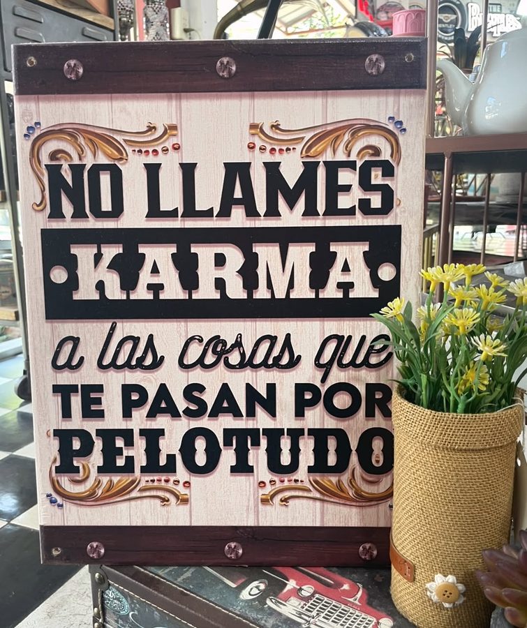 Cartel No llames karma a las cosas que te pasan por pelotudo