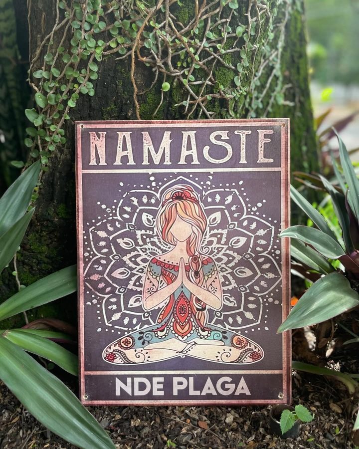 Cuadro Namaste nde plaga