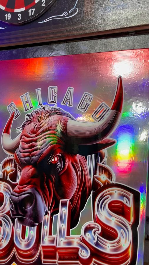Cuadro Chicago Bulls toro – foto 2