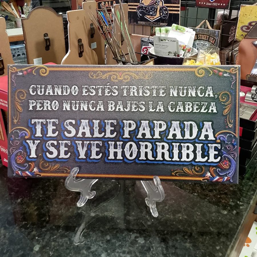 Cuadro Cuando estés triste nunca bajes la cabeza te sale papada