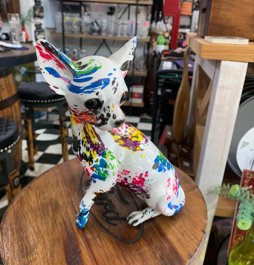 Chihuahua blanco con manchas de colores