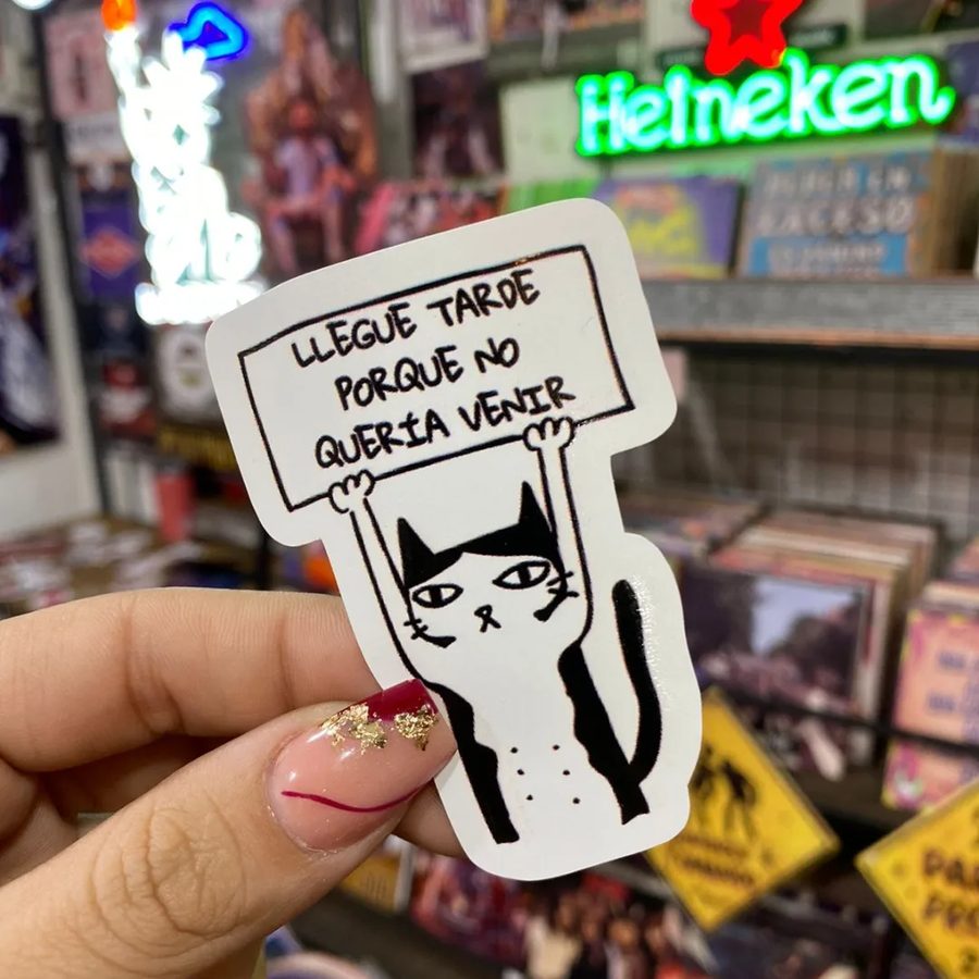 Gato Llegué tarde porque no quería venir