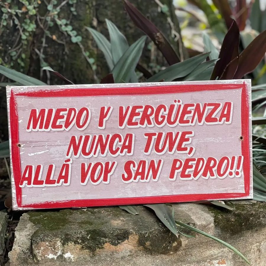Cuadro Miedo y vergüenza nunca tuve allá voy San Pedro