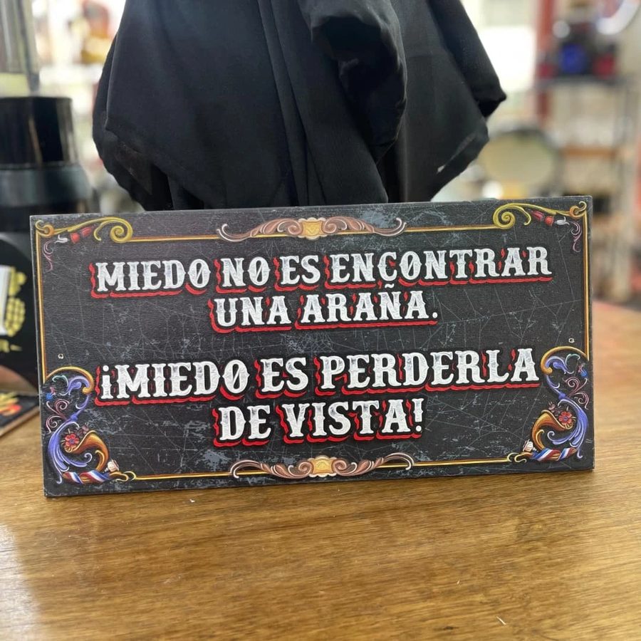 Cuadro Miedo no es encontrar una araña miedo es perderla de vista – foto 2
