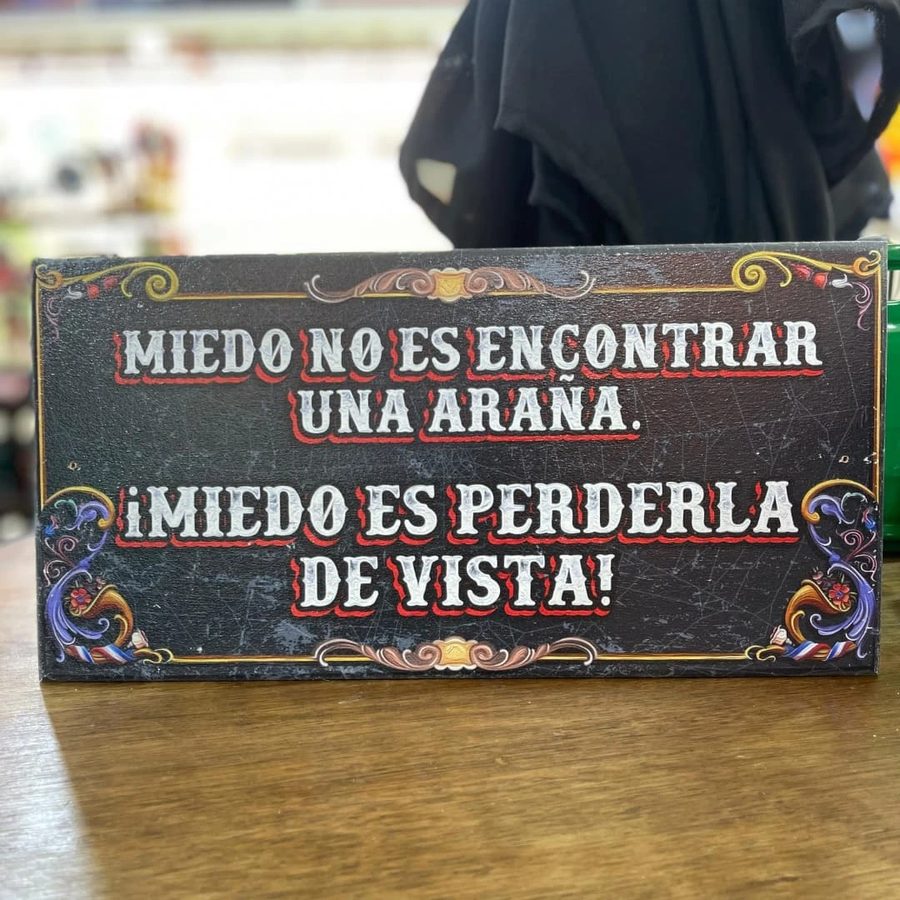 Cuadro Miedo no es encontrar una araña miedo es perderla de vista