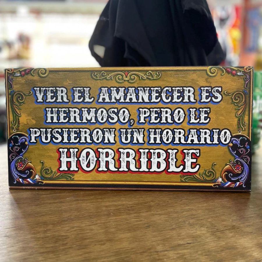 Cuadro Ver el amanecer es hermoso pero le pusieron un horario horrible