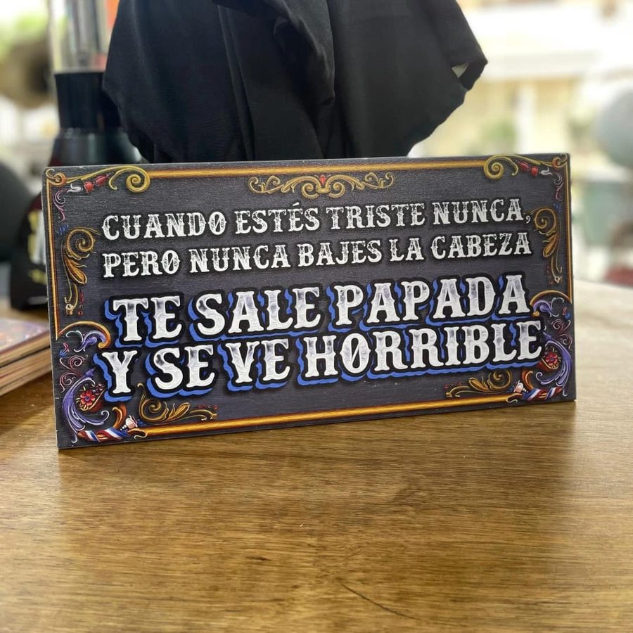 Cartel Cuando estés triste nunca bajes la cabeza, te sale papada