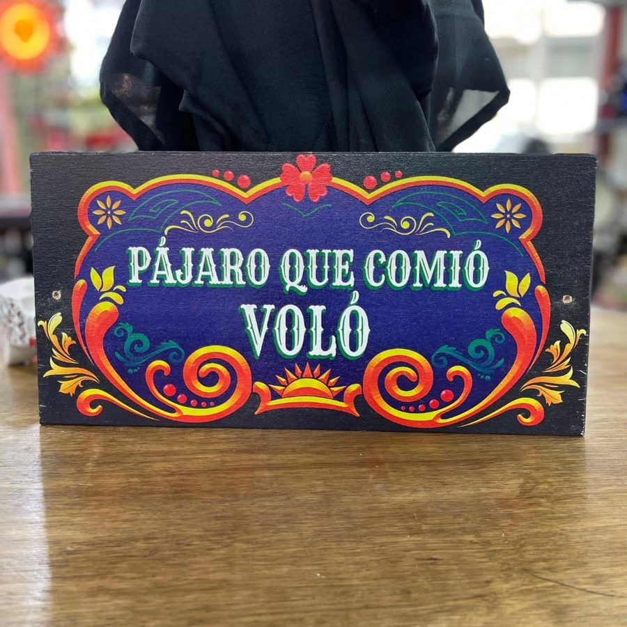 Cartel Pájaro que comió voló