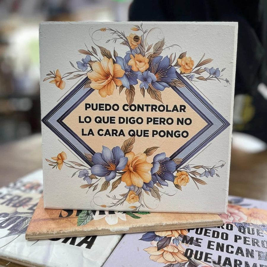 Cuadro Puedo controlar lo que digo pero no la cara que pongo