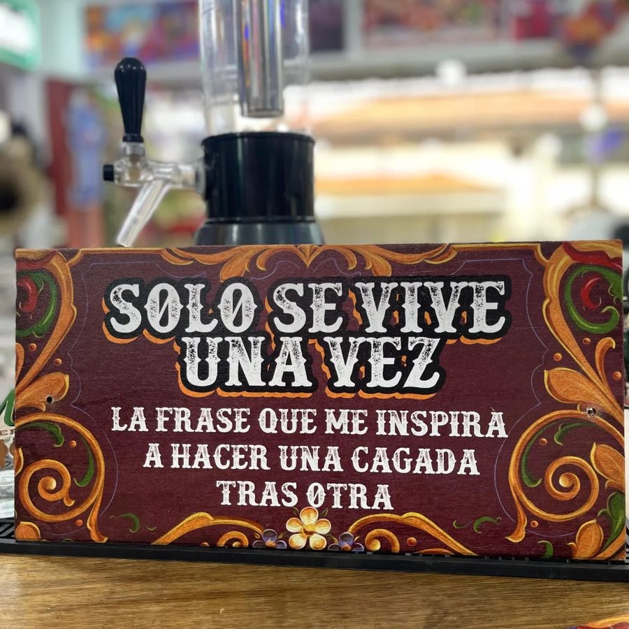 Cuadro Solo se vive una vez – foto 2