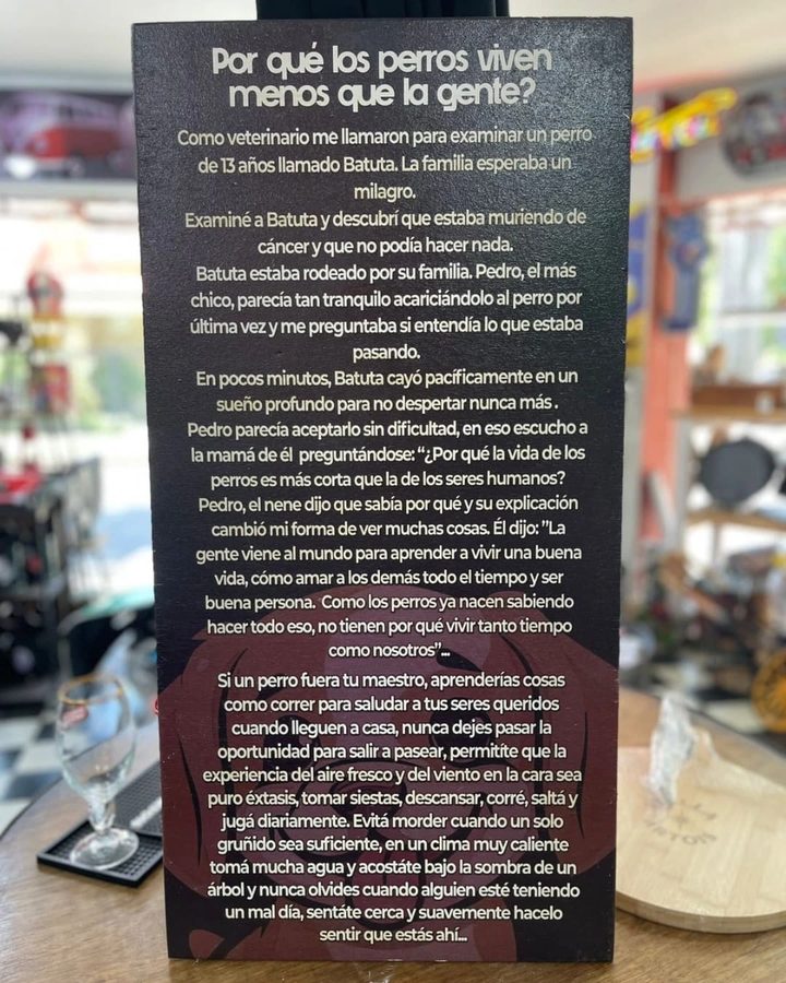 Cuadro Por qué los perros viven menos que la gente