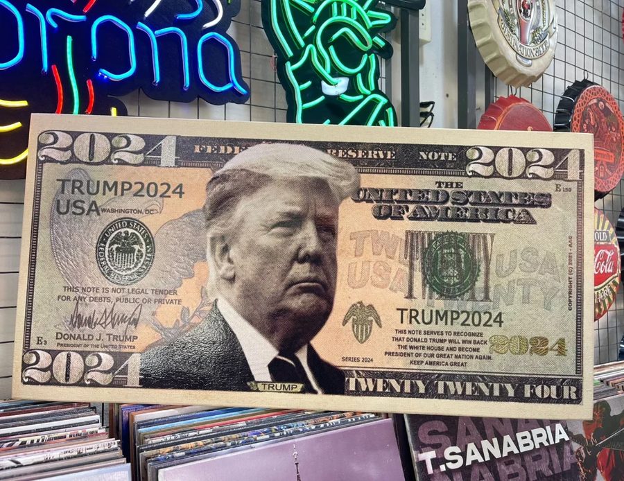 Cuadro Billete Trump 2024