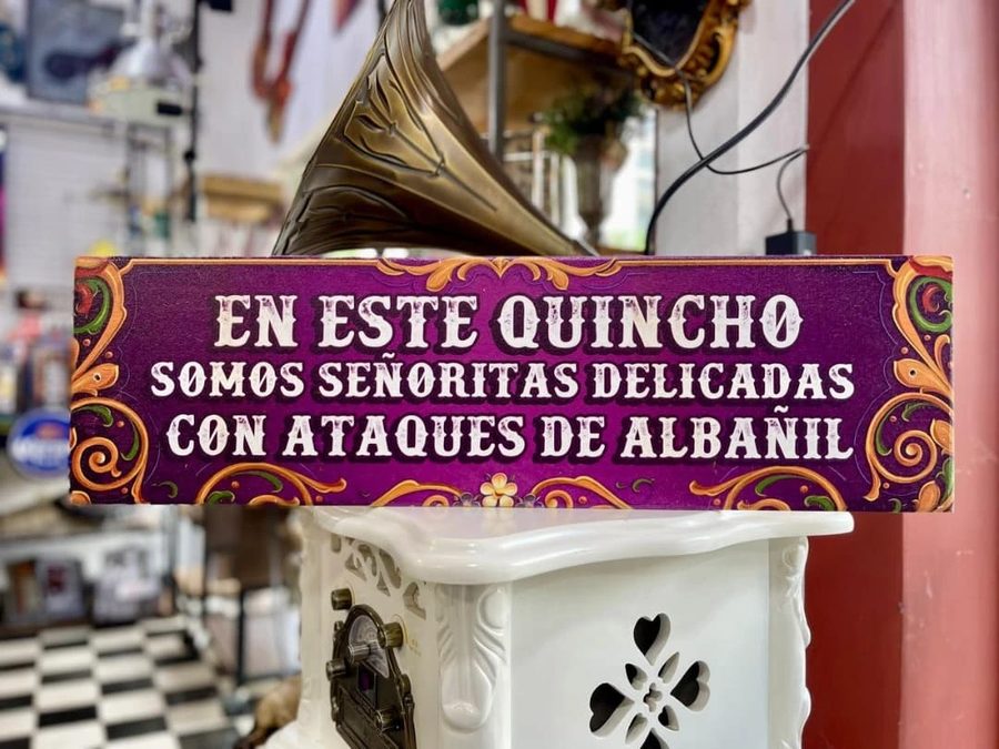 Cartel En este quincho somos señoritas delicadas con ataques de albañil