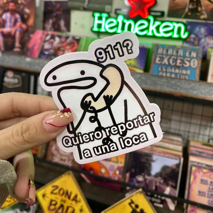 Flork 911? Quiero reportar a una loca – foto 2