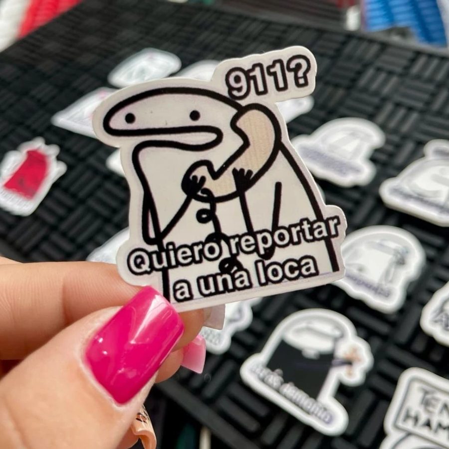 Flork 911? Quiero reportar a una loca