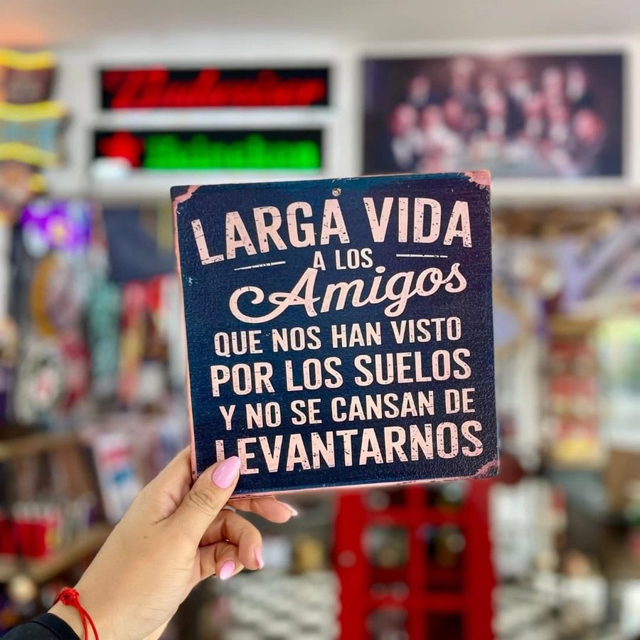 Cuadro Larga vida a los amigos que nos han visto por los suelos
