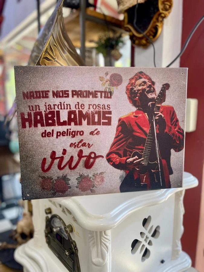 Cuadro Nadie nos prometió un jardín de rosas