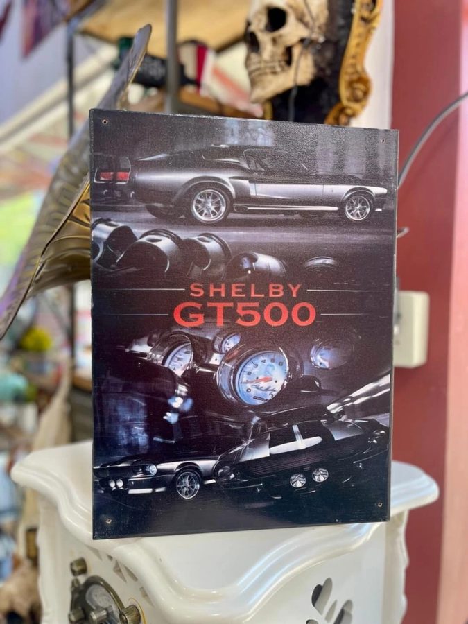 Cuadro Shelby GT500