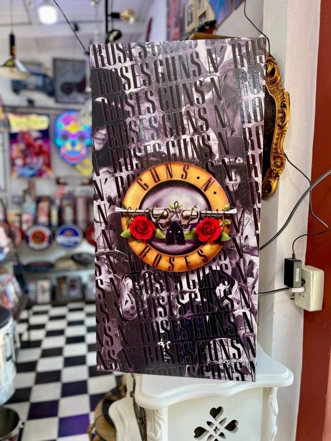 Cuadro Guns N' Roses