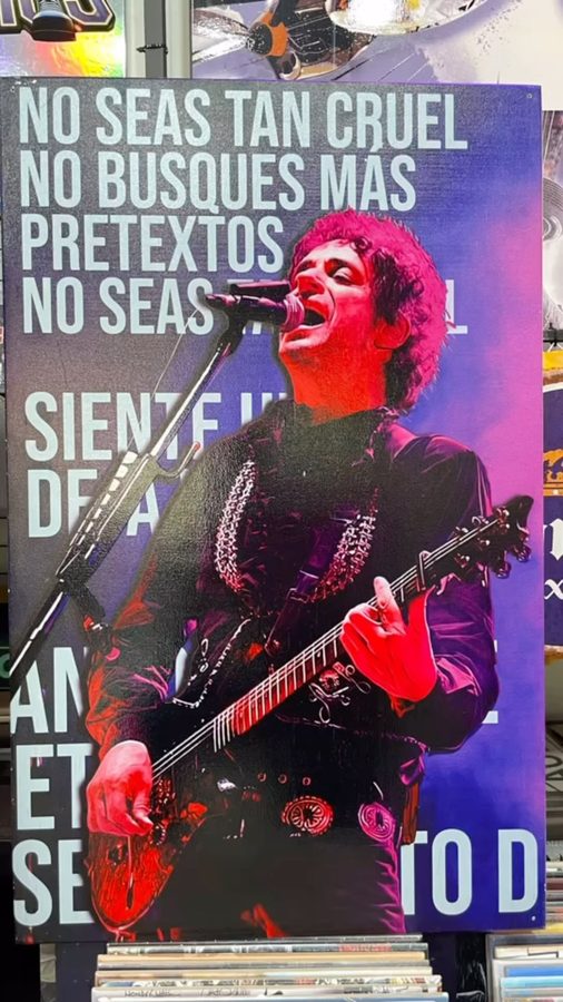 Cuadro No seas tan cruel guitarrista – foto 3