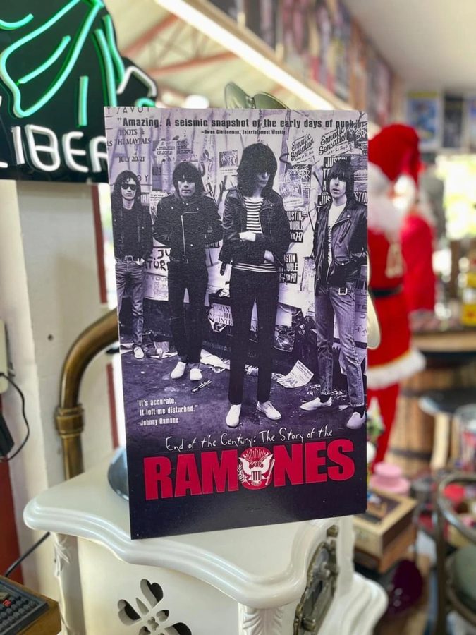 Cuadro Ramones