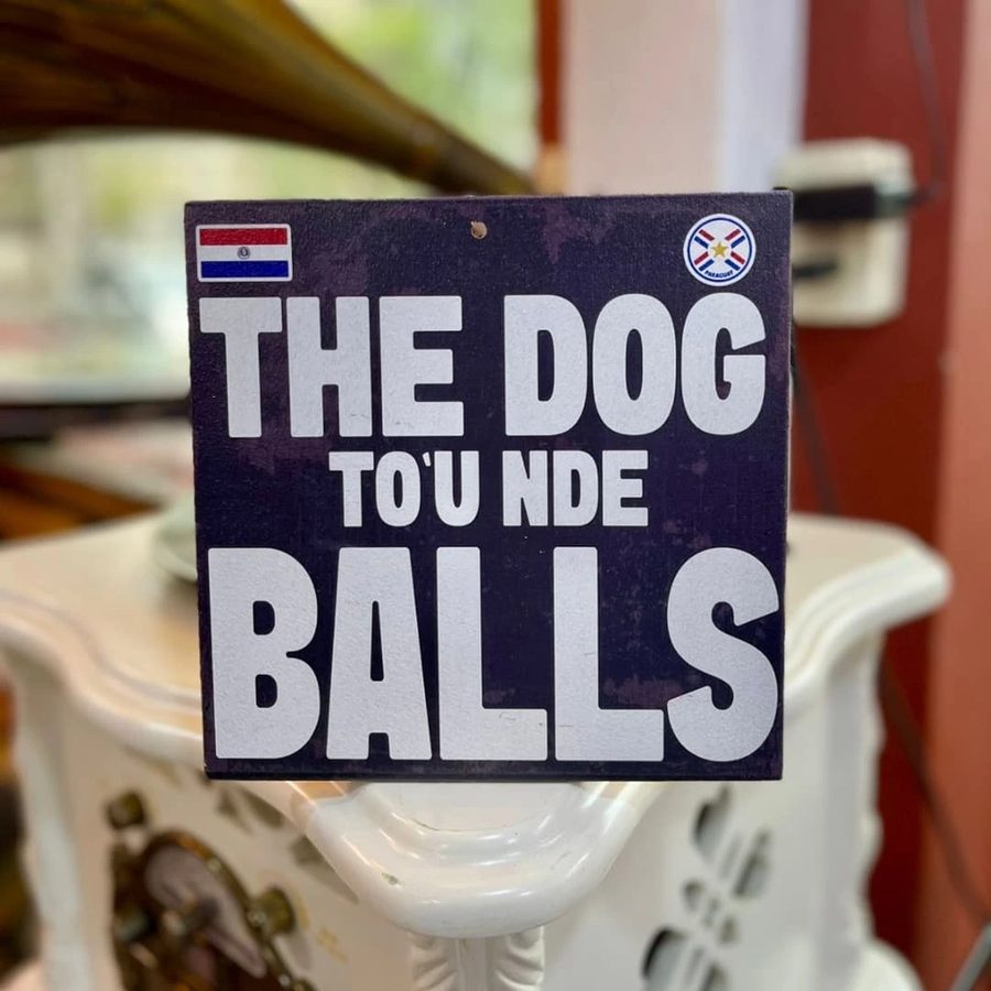 Cuadro The dog to'u nde balls
