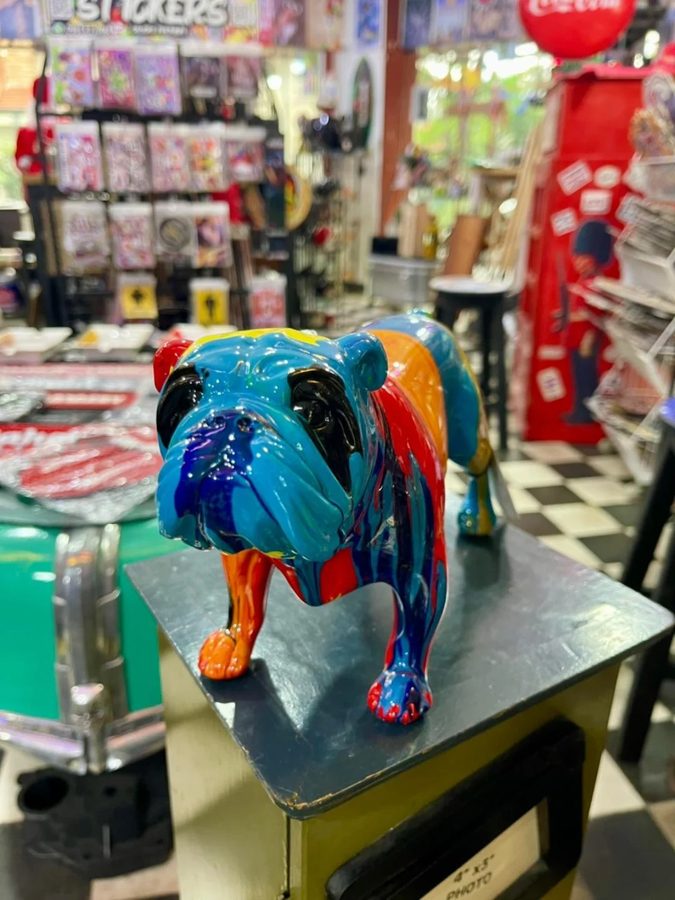 Bulldog inglés multicolor