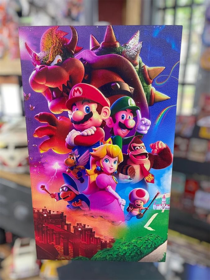 Cuadro Mario, Luigi y Bowser (videojuego)
