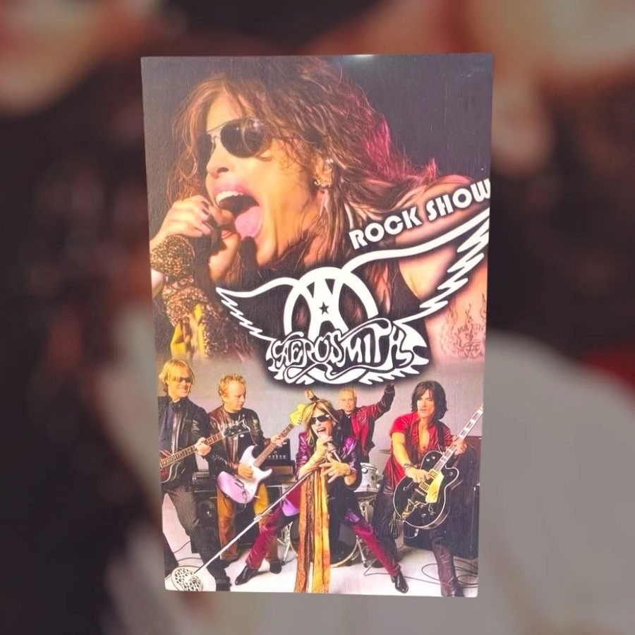 Cuadro Aerosmith Rock Show