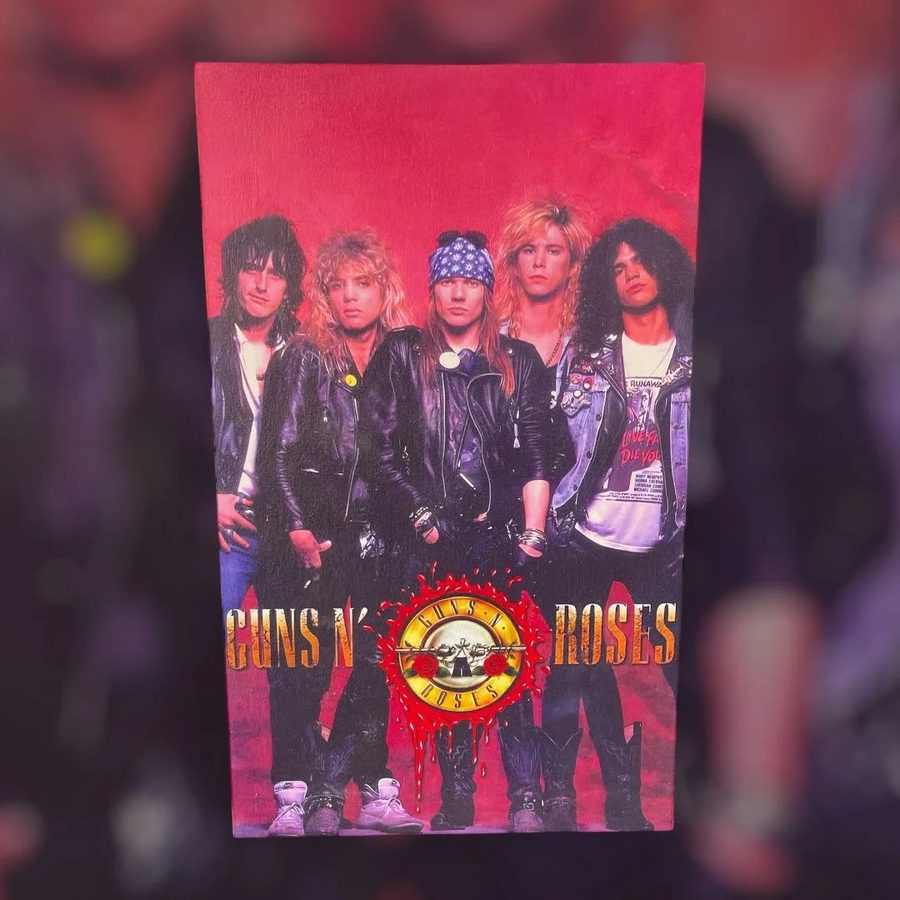 Cuadro Guns N' Roses (banda)