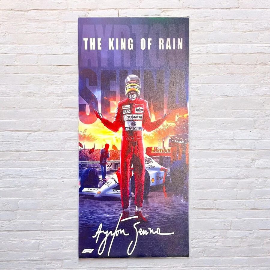Cuadro Ayrton Senna – The King of Rain
