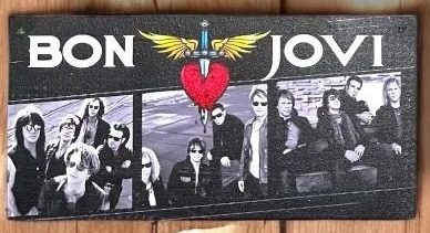 Cuadro Bon Jovi