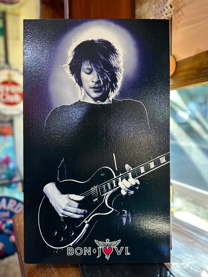 Cuadro Bon Jovi (guitarrista)