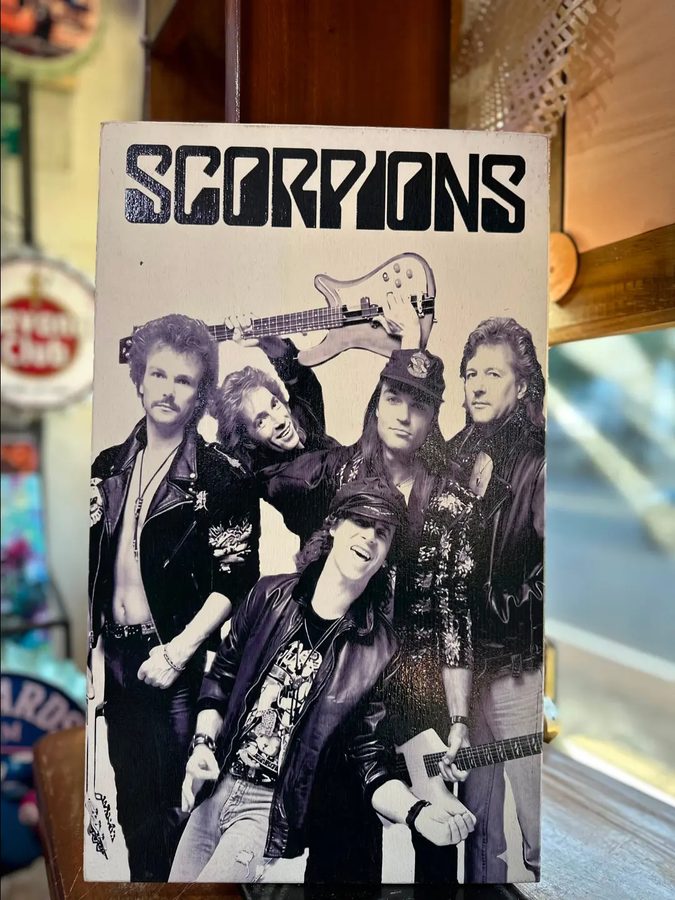 Cuadro Scorpions (blanco y negro)