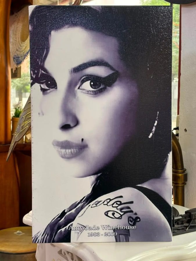 Cuadro Amy Jade Winehouse
