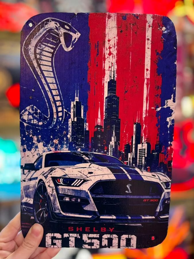 Chapa Shelby GT500