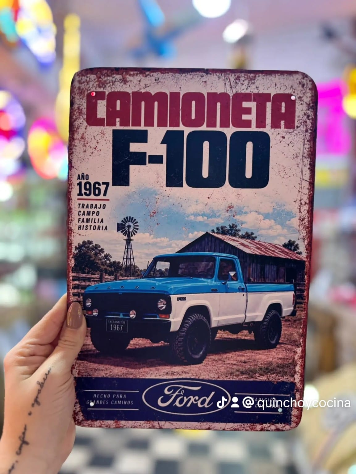 Chapa Camioneta F-100 año 1967